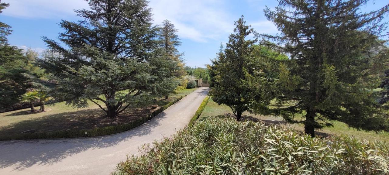 Villa Liberty Entraigues-sur-la-Sorgue Exteriér fotografie