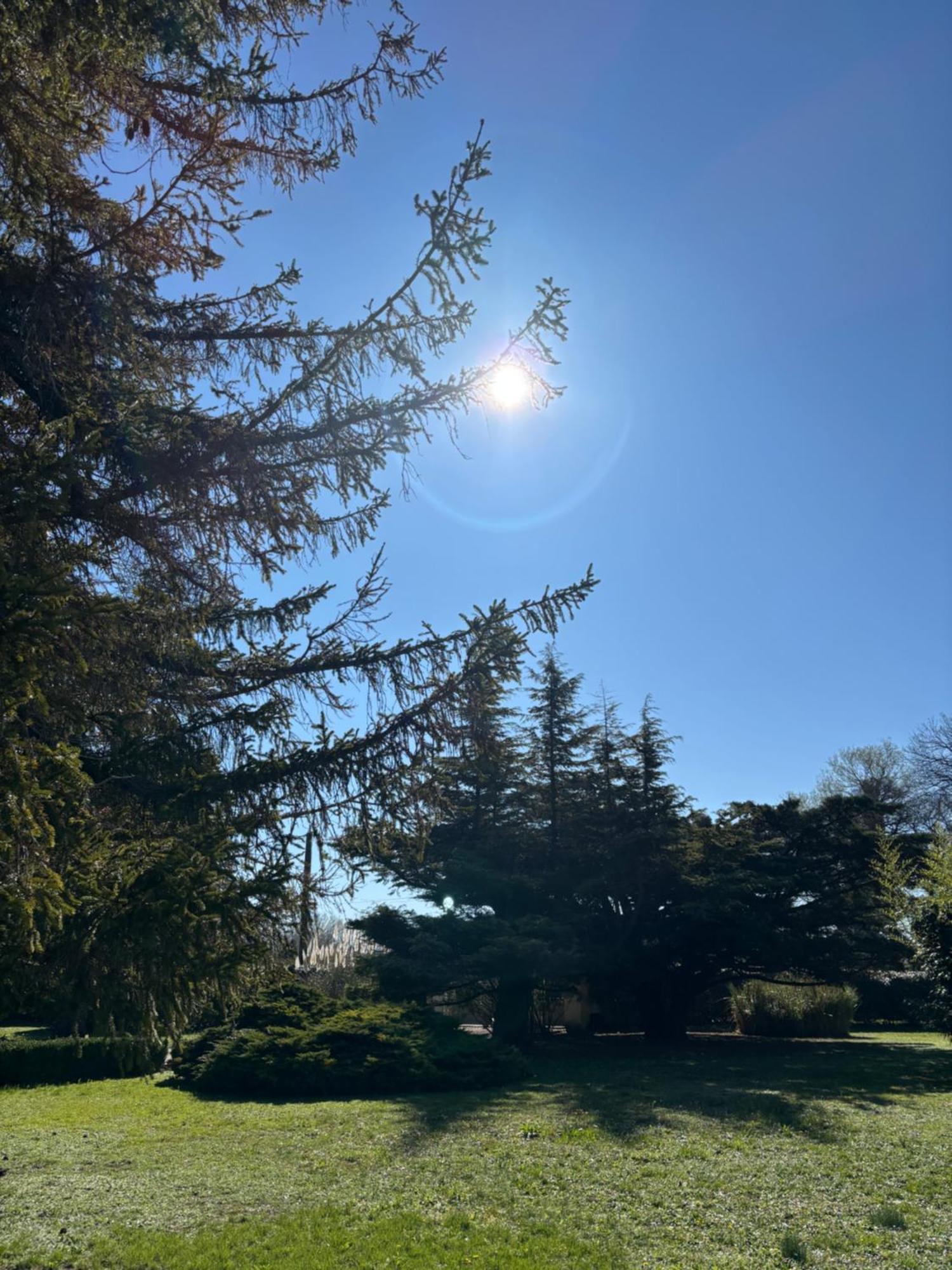Villa Liberty Entraigues-sur-la-Sorgue Exteriér fotografie